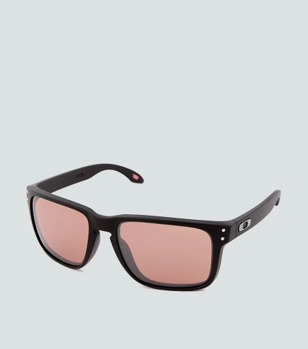 Gafas Oakley Holbrook XlNG