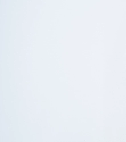 Genova Polo Slim Fit Femenino GasBL