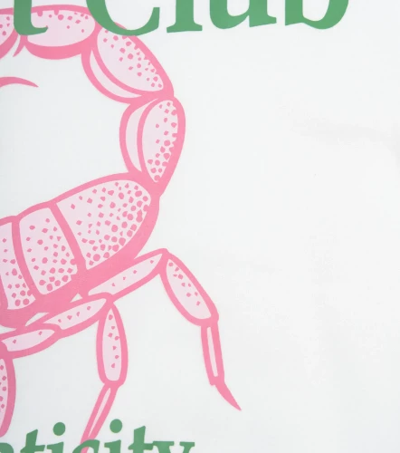 Tom Hoodie Oversize Estampado TyperBL