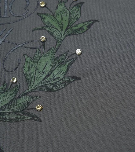 Crop Top Clemont Oversized CenereGO