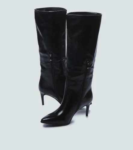 Bota Cana Alta Unicolor Con Tacon DerekNG