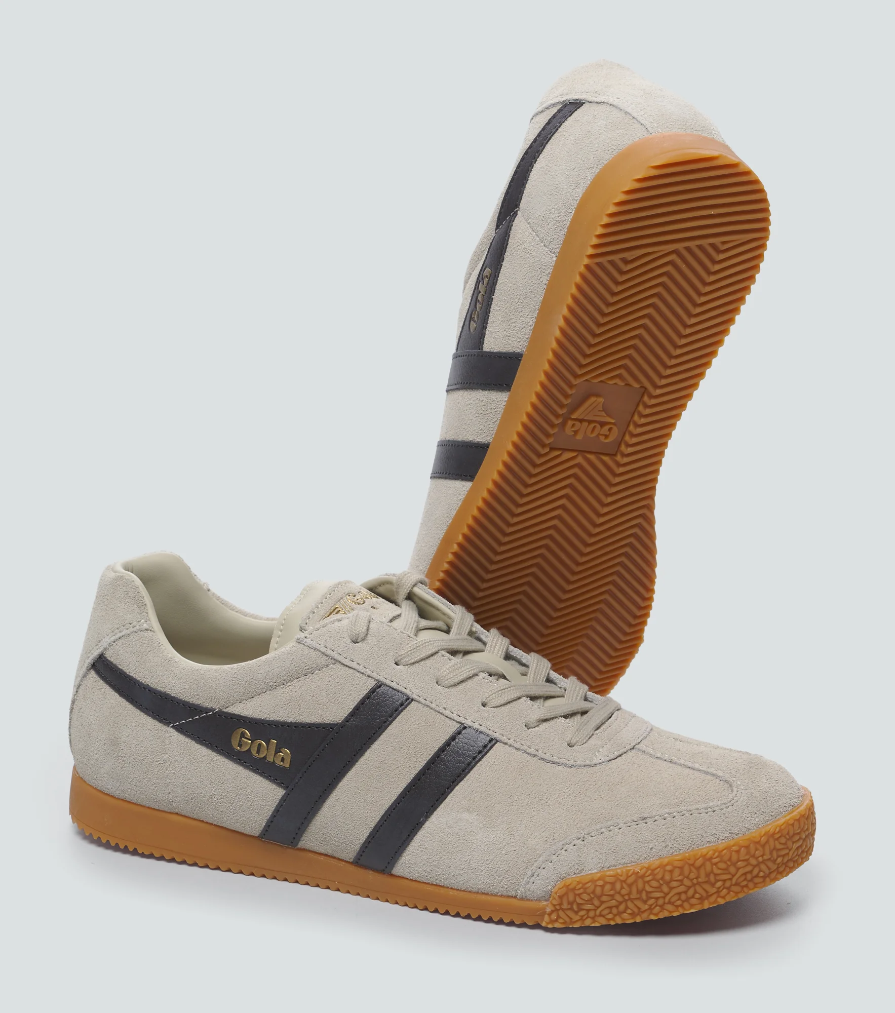 Tenis Gola Harrier Trainer 132959 BG