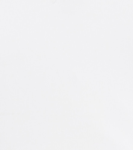 Annie Body Slimfit Con Cortes TyperAR