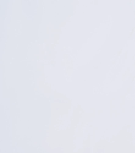 Blusa De Mujer Camisera Manga Larga Unicolor DerekBL