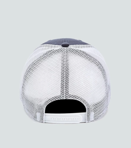 Gorra 47 Boston Sox BransonAZ