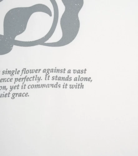 Ney Tshirt Oversized Estampada Y Bordada TyperBH