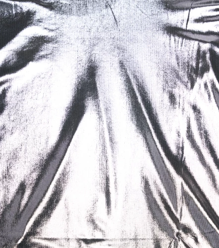 Crop Top Clemont PlatinatoPT