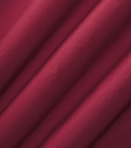 Slim Julian Camisa Unicolor Con Detalle De Costado UnserVT