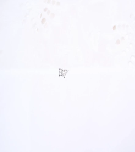 Blusa Para Mujer Esther DerekBL