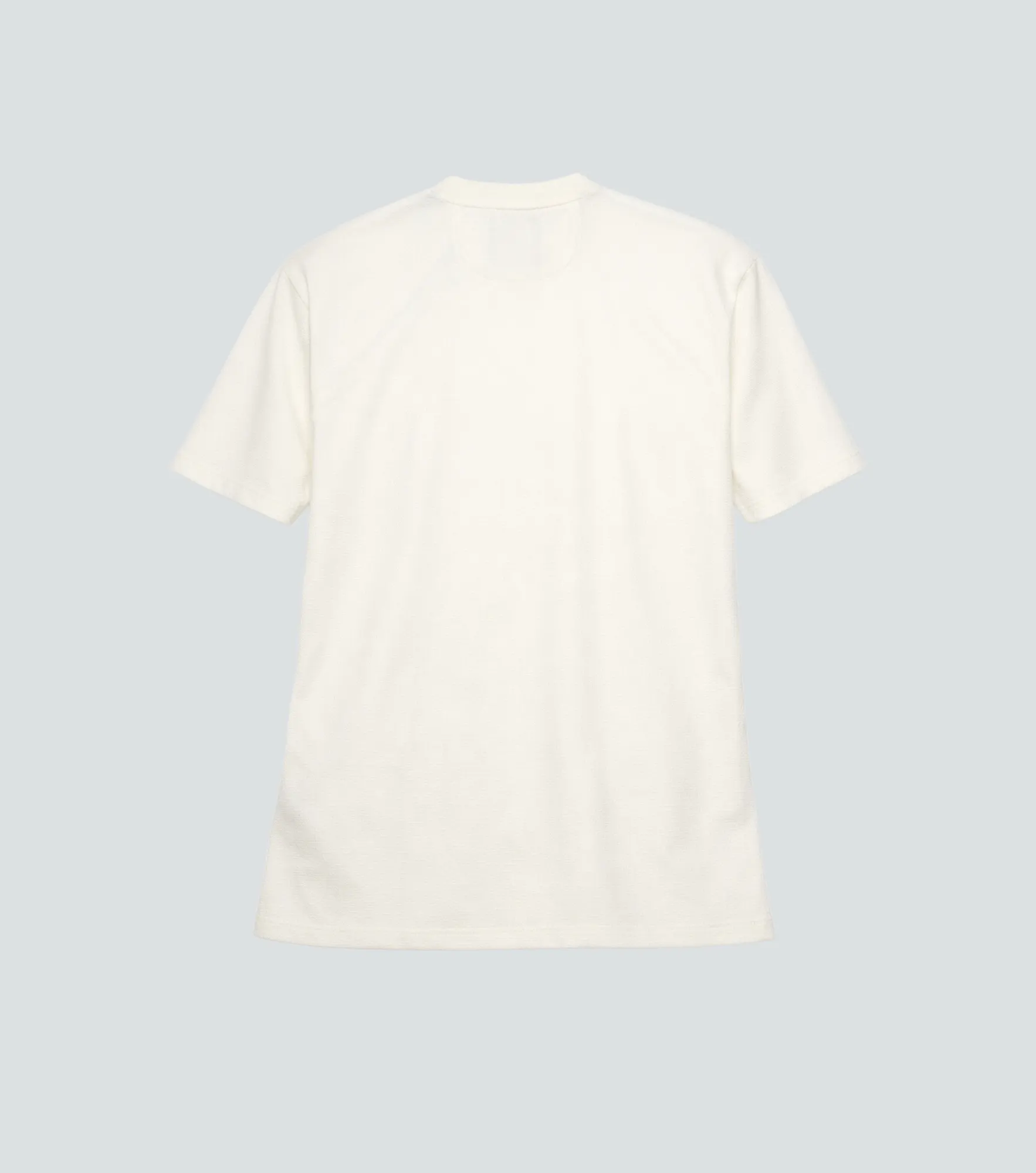 Lion Tshirt Comfort Unicolor Typer 833240 BH