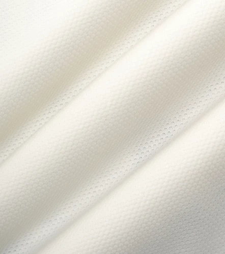 Lion Tshirt Comfort Unicolor TyperBH