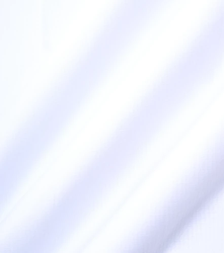 Ricci Camisa Slim Masculina GasBL