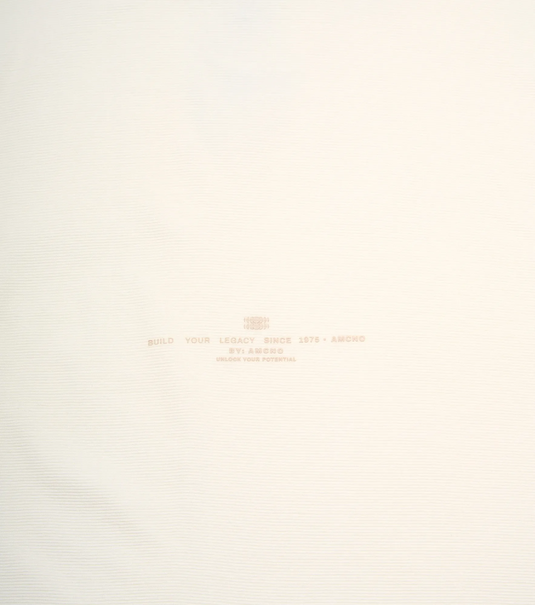 Camiseta Americanino Mc Boxi Textura 133122 CR