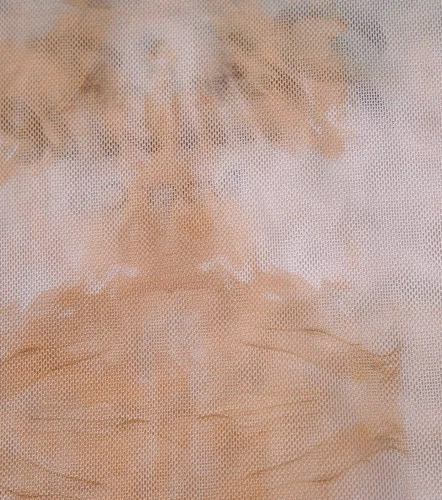 Salma Blusa Slim Fit En Mesh TyperCF