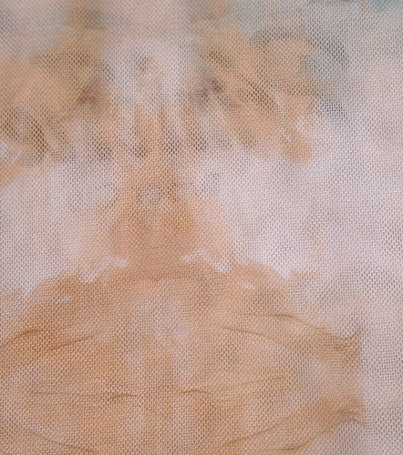 Salma Blusa Slim Fit En Mesh TyperCF