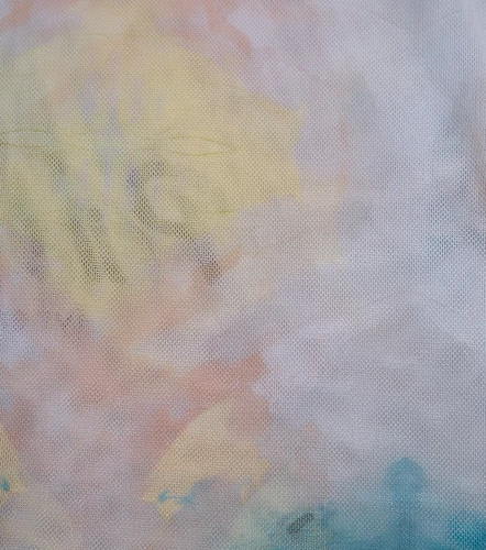 Salma Blusa Slim Fit En Mesh TyperVD