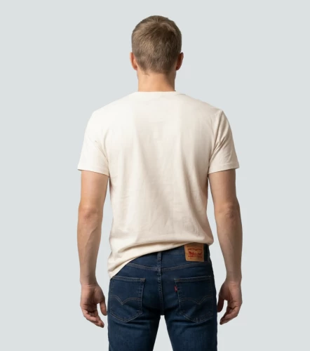 Camiseta Levis Mc H126 MfoBG