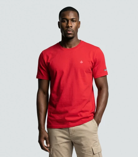 Holland Camiseta Slim Fit Basica Masculina GroggyRJ