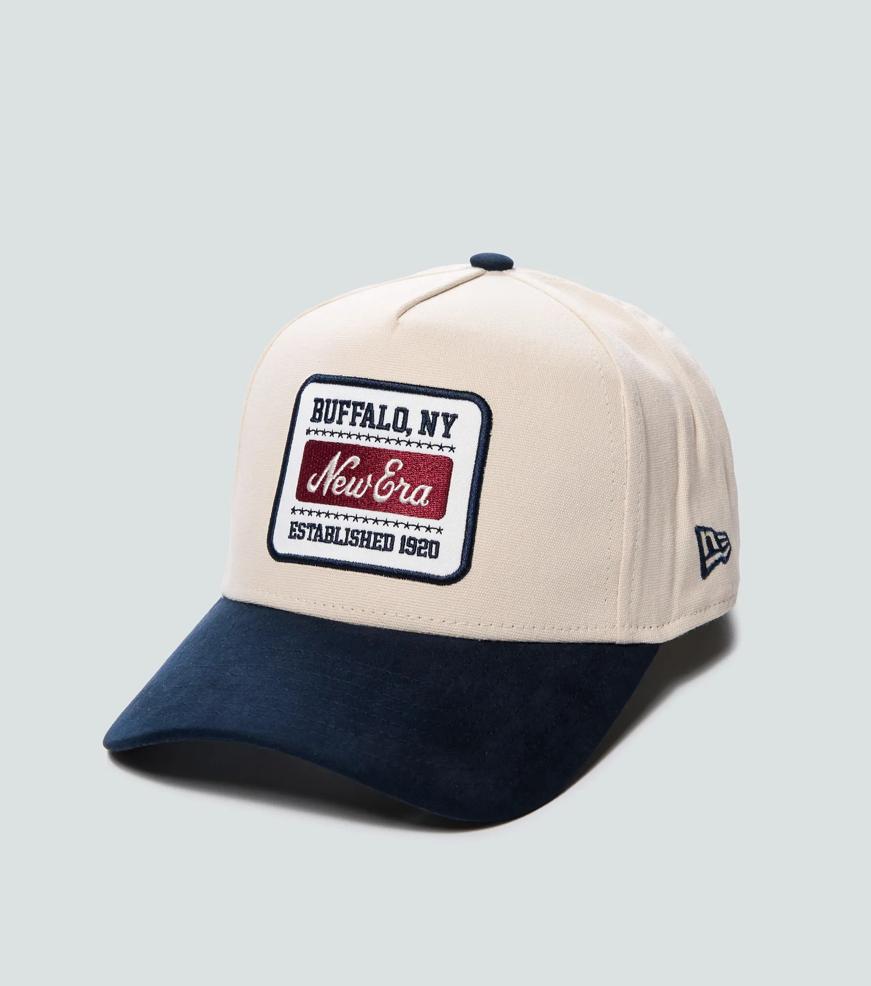 Gorra New Era 940ef Ne Patch Suede 134242 BG