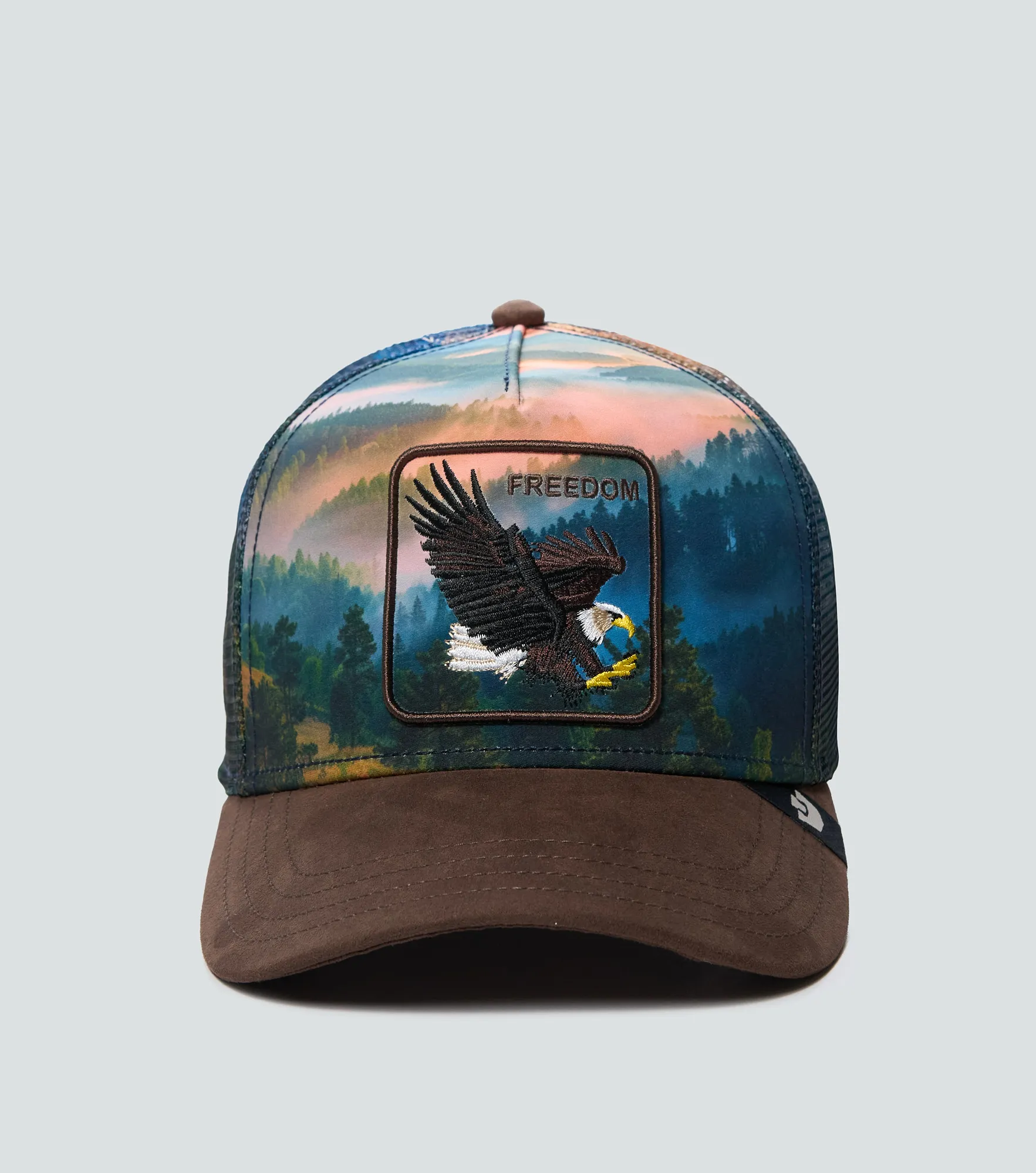Gorra Goorin Bros Eagle In The Element 134203 CF