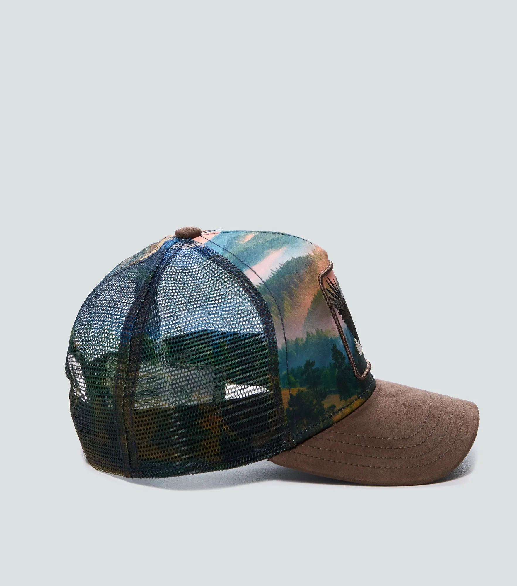 Gorra Goorin Bros Eagle In The Element 134203 CF