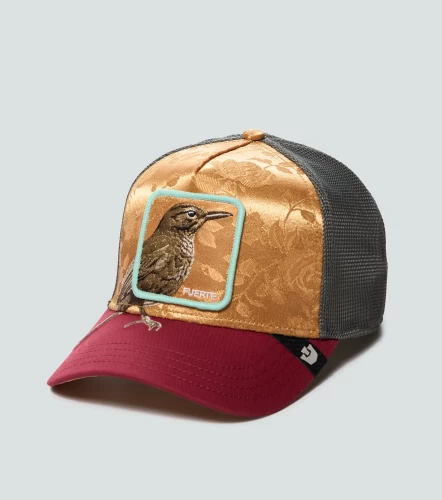 Gorra Goorin Bros Costa Rica ThrushDO