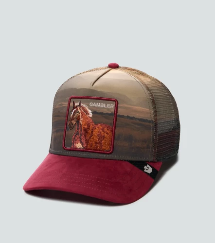 Gorra Goorin Bros Stallion Inthe ElementVT