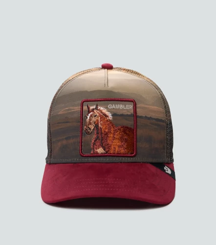 Gorra Goorin Bros Stallion Inthe ElementVT