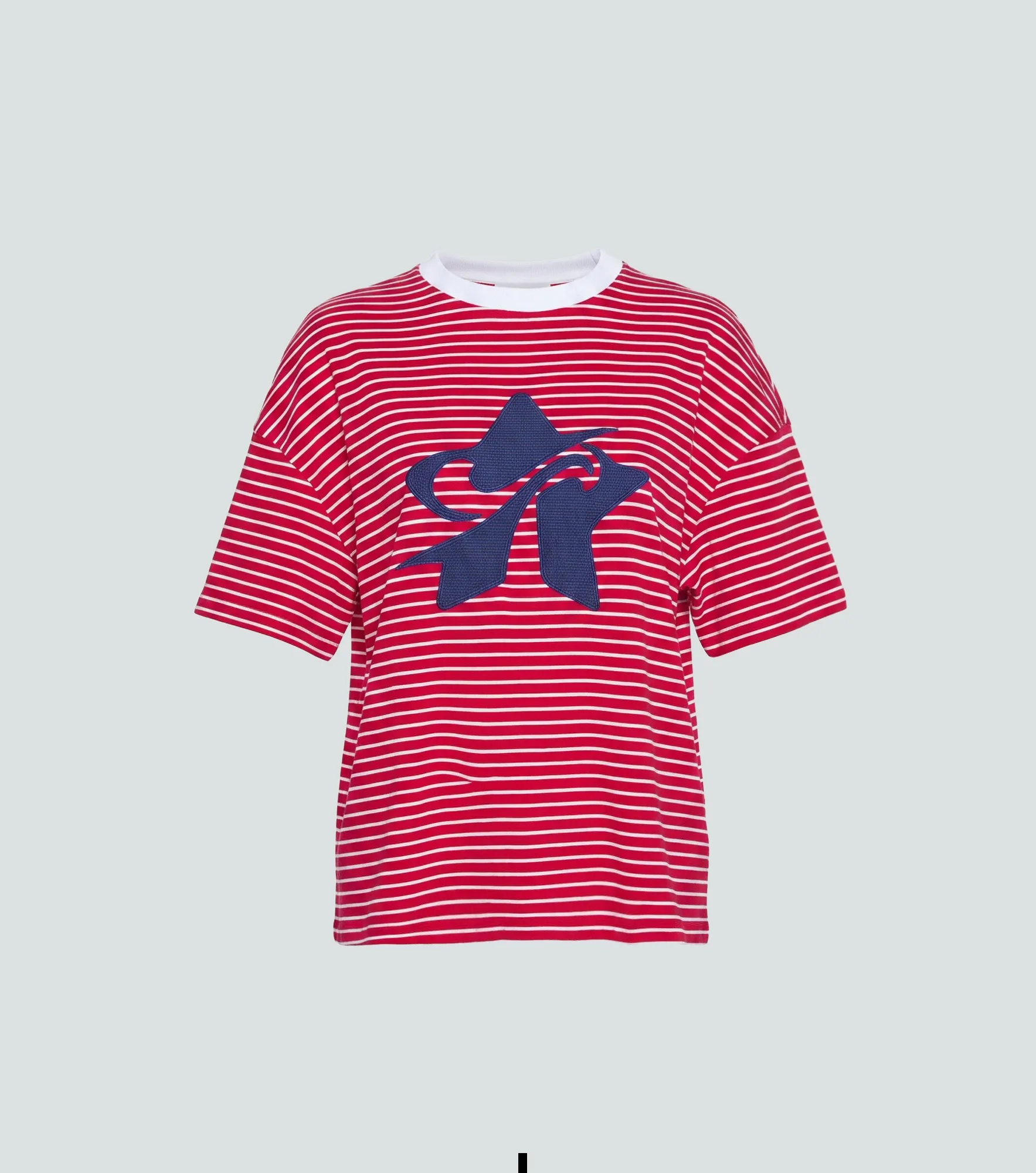 Amy T Shirt Oversize Con Bordado Typer 838979 RJ
