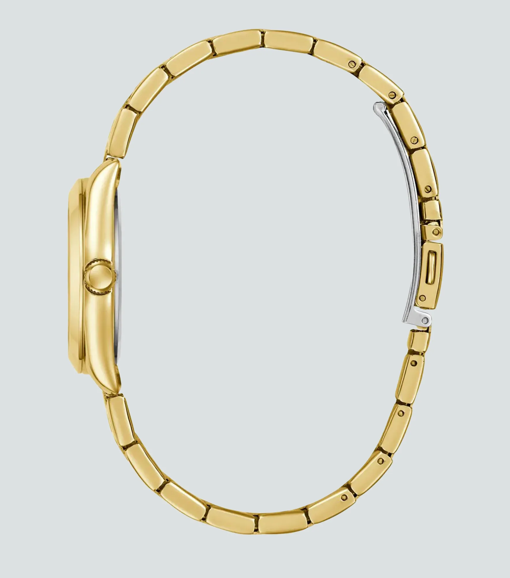 Reloj Guess Alice 134598 DO