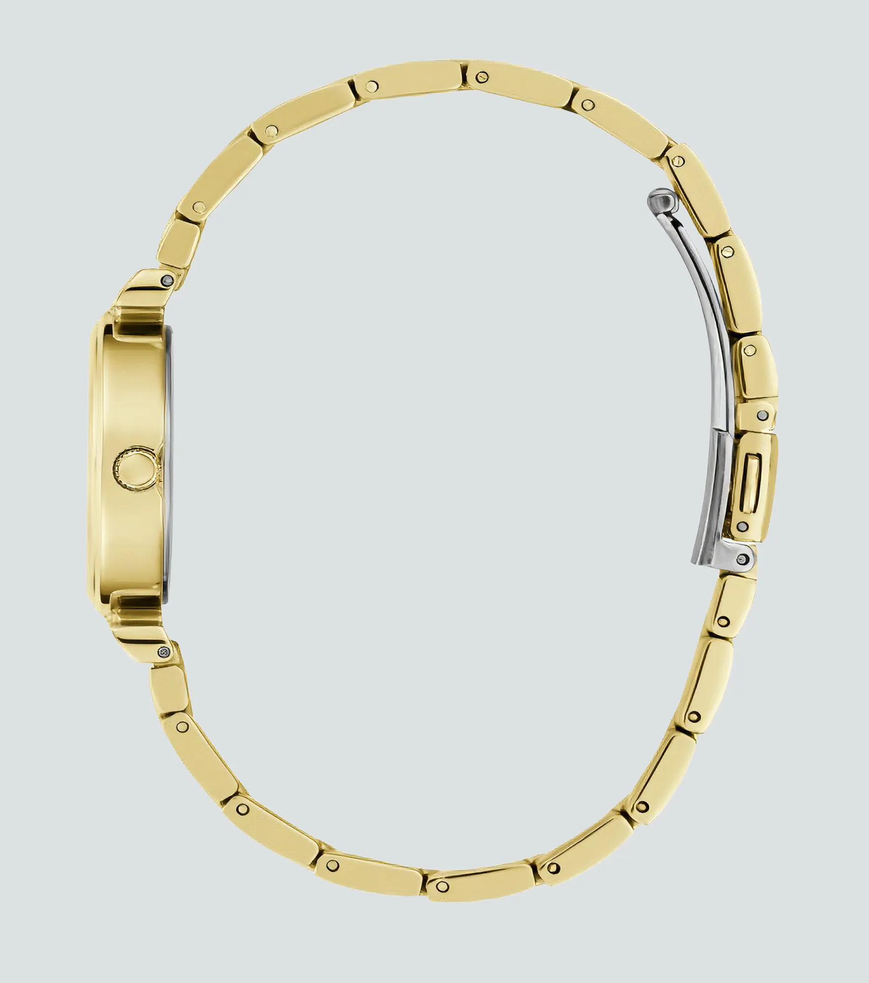 Reloj Guess Array 134600 DO