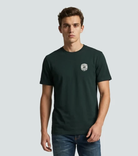 Camiseta Chevignon Mountain Graphic T ShirtVD