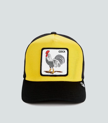 Gorra Goorin V2 OwlAM