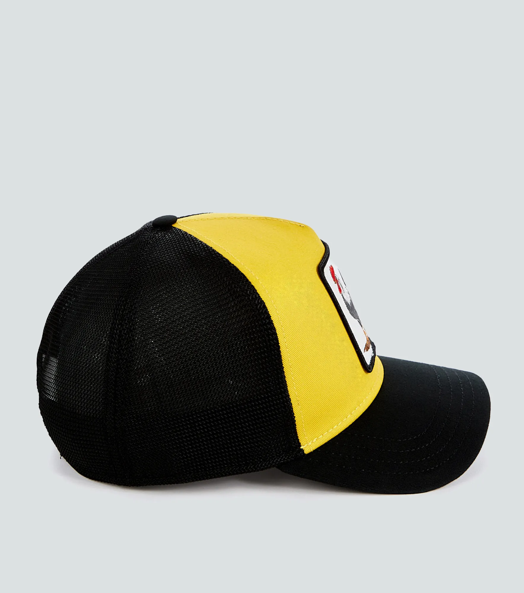 Gorra Goorin V2 Owl 127804 AM