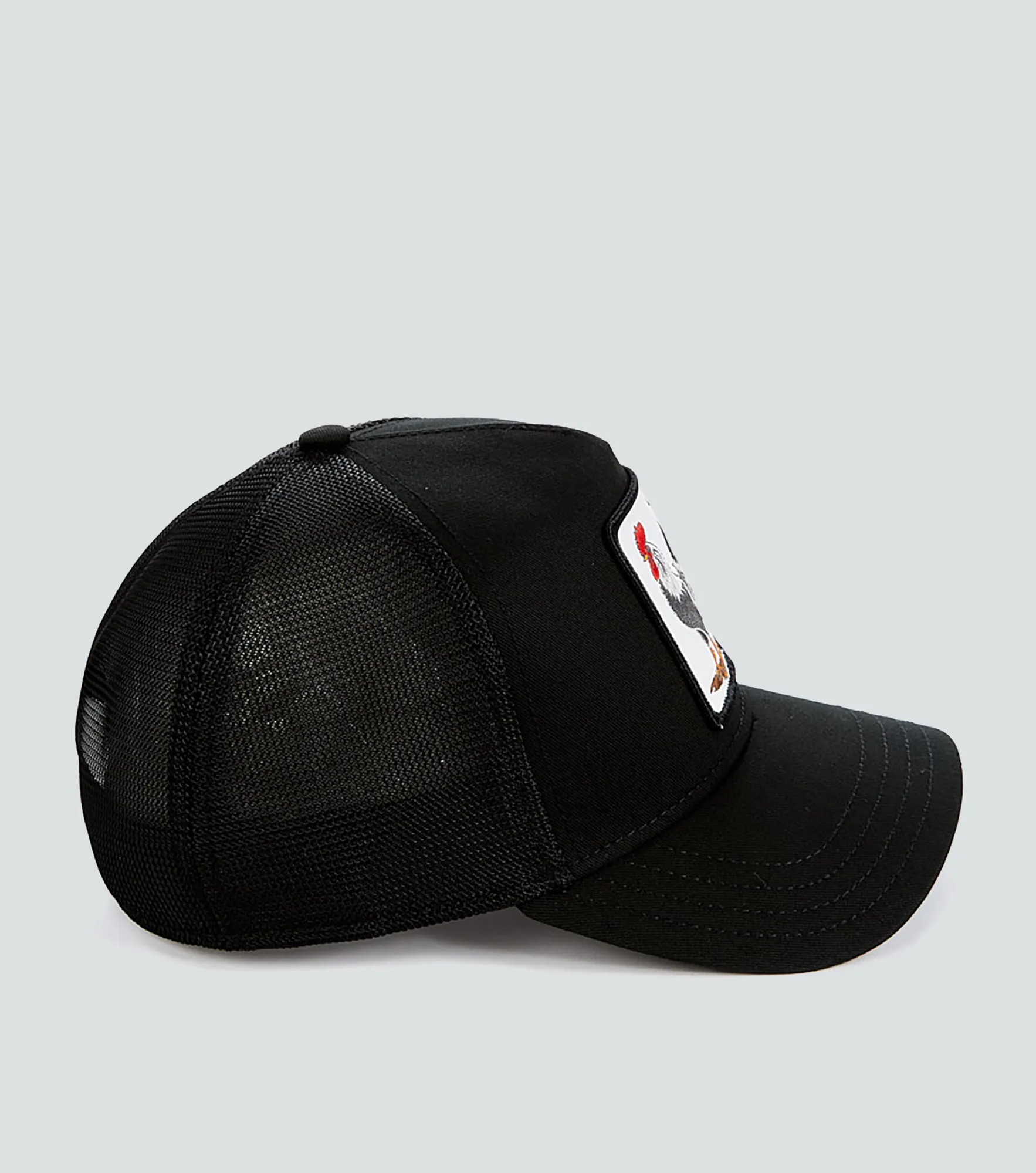 Gorra Goorin V2 Owl 127804 AM