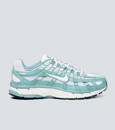Tenis Nike W P 6000AT