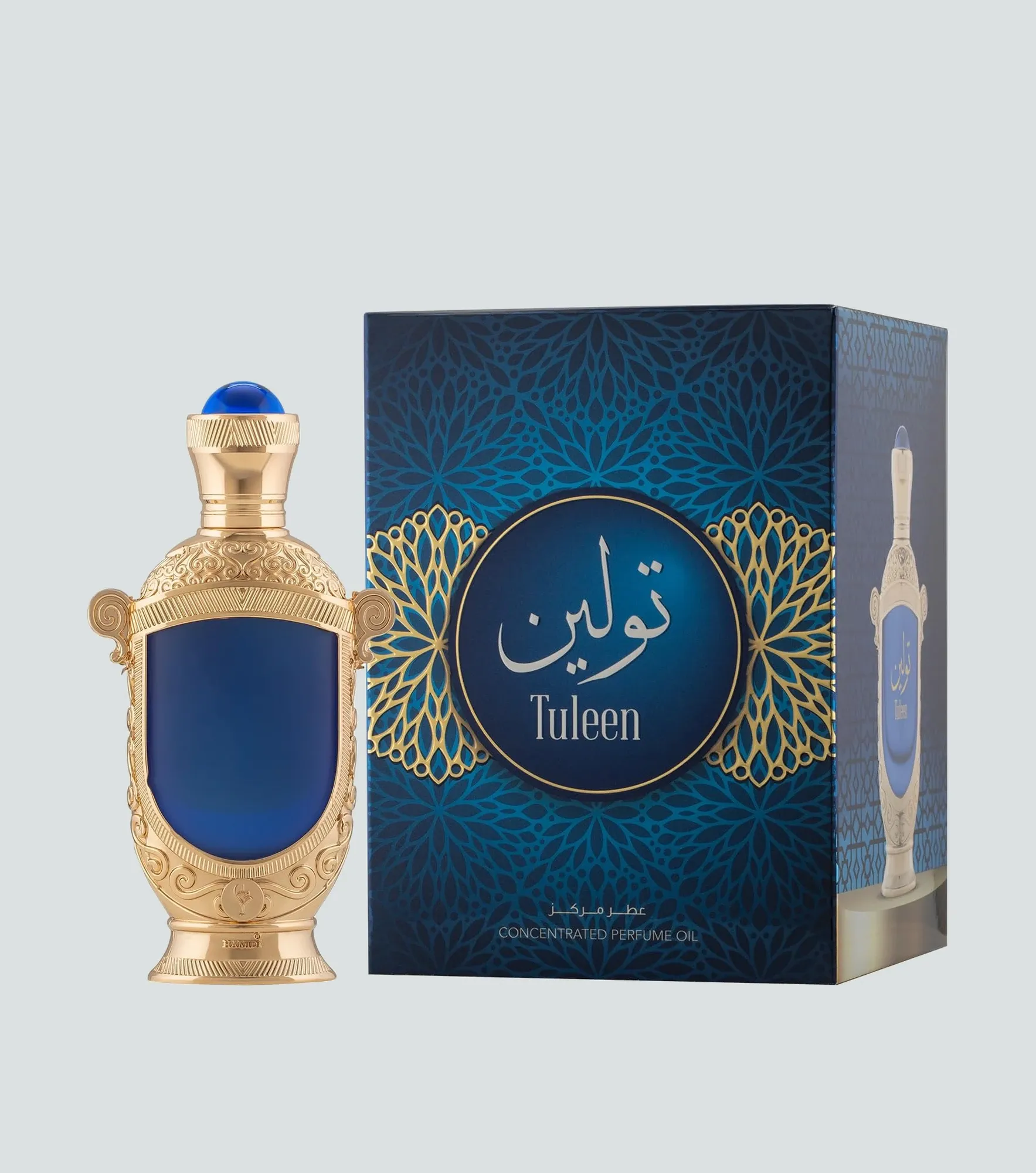 Tuleen Hamidi 135163 CU
